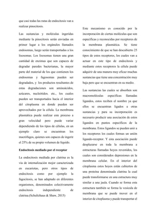 que casi todas las rutas de endocitosis van a
realizar pinocitosis.
Las sustancias y moléculas ingeridas
mediante la pinocitosis serán enviadas en
primer lugar a los orgánulos llamados
endosomas, luego serán transportadas a los
lisosomas. Los lisosomas tienen una gran
cantidad de enzimas que son capaces de
degradar paredes bacterianas, la mayor
parte del material de los que contienen los
endosomas y fagosomas pueden ser
degradados, y los productos resultantes de
estas degradaciones son aminoácidos,
azúcares, nucleótidos. etc., los cuales
pueden ser transportados hacia el interior
del citoplasma en donde pueden ser
aprovechados por la célula. La membrana
plasmática puede realizar este proceso a
gran velocidad pero puede variar
dependiendo de los tipos de células, en un
ejemplo claro se encuentran los
macrófagos, quienes son capaces de ingerir
el 25% de su propio volumen de líquido.
Endocitosis mediado por el receptor
La endocitosis mediada por clatrina es la
vía de internalización mejor caracterizada
en eucariotas, pero otros tipos de
endocitosis como por ejemplo la
fagocitosis, se han adaptado en diferentes
organismos, denominados colectivamente
endocitosis independiente de
clatrina.(Schultzhaus & Shaw, 2015)
Este mecanismo es conocido por la
incorporación de ciertas moléculas que son
específicas y reconocidas por receptores de
la membrana plasmática. Se tiene
conocimiento de que se han descubierto 25
tipos de estos receptores, los cuales van a
actuar en este tipo de endocitosis y
mediante estos receptores la célula puede
adquirir de una manera muy eficaz muchas
sustancias que tiene una concentración muy
baja pero que se encuentran en su medio.
Las sustancias las cuales se absorben son
macromoléculas específicas llamadas
ligandos, estos reciben el nombre ya que
ellos se encuentran ligados a otras
sustancias y para su incorporación es
necesario producir una asociación de estos
ligandos en puntos específicos de la
membrana. Estos ligandos se pueden unir a
los receptores los cuales formas un unión
ligando-receptor. Y esta asociación puede
desplazarse en toda la membrana a
estructuras llamadas hoyos revestidos, los
cuales son considerados depresiones en la
membrana celular. En el interior del
citoplasma estos hoyos están cubiertos de
una proteína denominada clatrina la cual
puede transformarse en una estructura muy
similar a una jaula. Cuando se forma esta
estructura también se forma la vesícula de
membrana que se puede mover en el
interior de citoplasma y puede transportar el
 