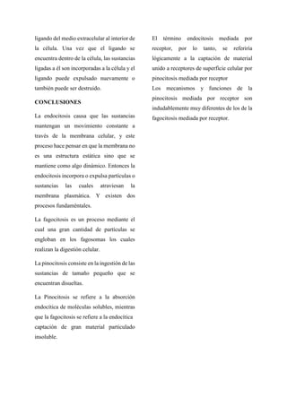 ligando del medio extracelular al interior de
la célula. Una vez que el ligando se
encuentra dentro de la célula, las sustancias
ligadas a él son incorporadas a la célula y el
ligando puede expulsado nuevamente o
también puede ser destruido.
CONCLUSIONES
La endocitosis causa que las sustancias
mantengan un movimiento constante a
través de la membrana celular, y este
proceso hace pensar en que la membrana no
es una estructura estática sino que se
mantiene como algo dinámico. Entonces la
endocitosis incorpora o expulsa partículas o
sustancias las cuales atraviesan la
membrana plasmática. Y existen dos
procesos fundaméntales.
La fagocitosis es un proceso mediante el
cual una gran cantidad de partículas se
engloban en los fagosomas los cuales
realizan la digestión celular.
La pinocitosis consiste en la ingestión de las
sustancias de tamaño pequeño que se
encuentran disueltas.
La Pinocitosis se refiere a la absorción
endocítica de moléculas solubles, mientras
que la fagocitosis se refiere a la endocítica
captación de gran material particulado
insoluble.
El término endocitosis mediada por
receptor, por lo tanto, se referiría
lógicamente a la captación de material
unido a receptores de superficie celular por
pinocitosis mediada por receptor
Los mecanismos y funciones de la
pinocitosis mediada por receptor son
indudablemente muy diferentes de los de la
fagocitosis mediada por receptor.
 