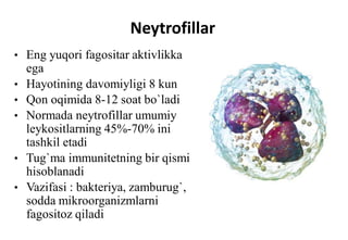 Fagositoz.pdf