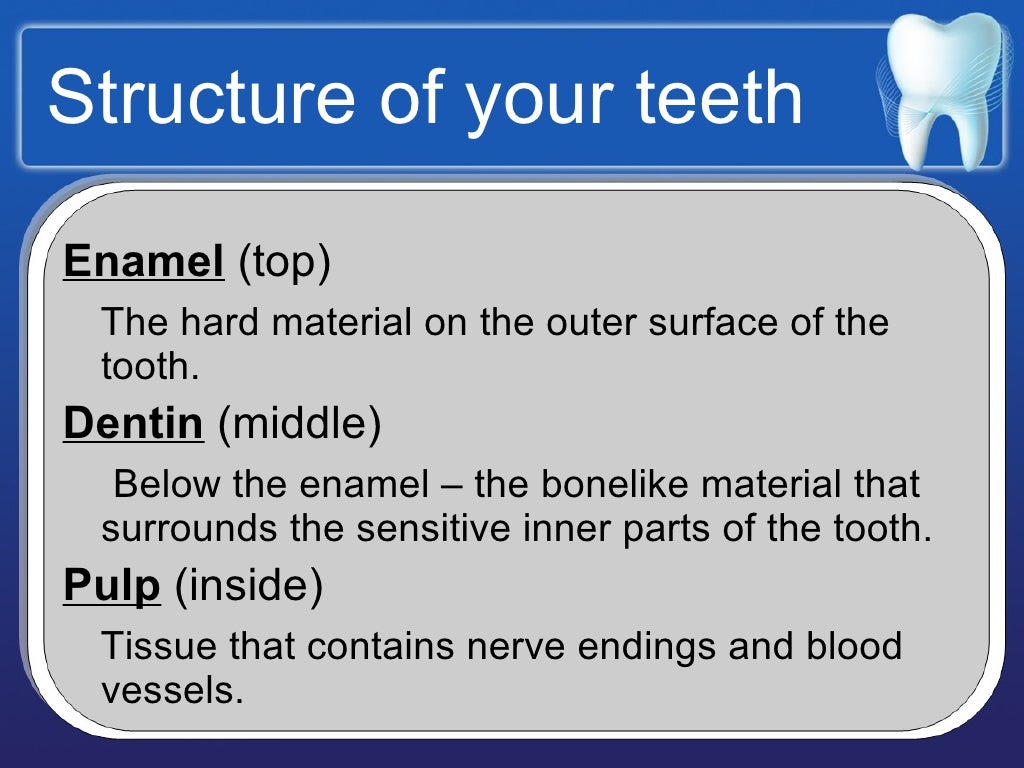 Dental Health Education