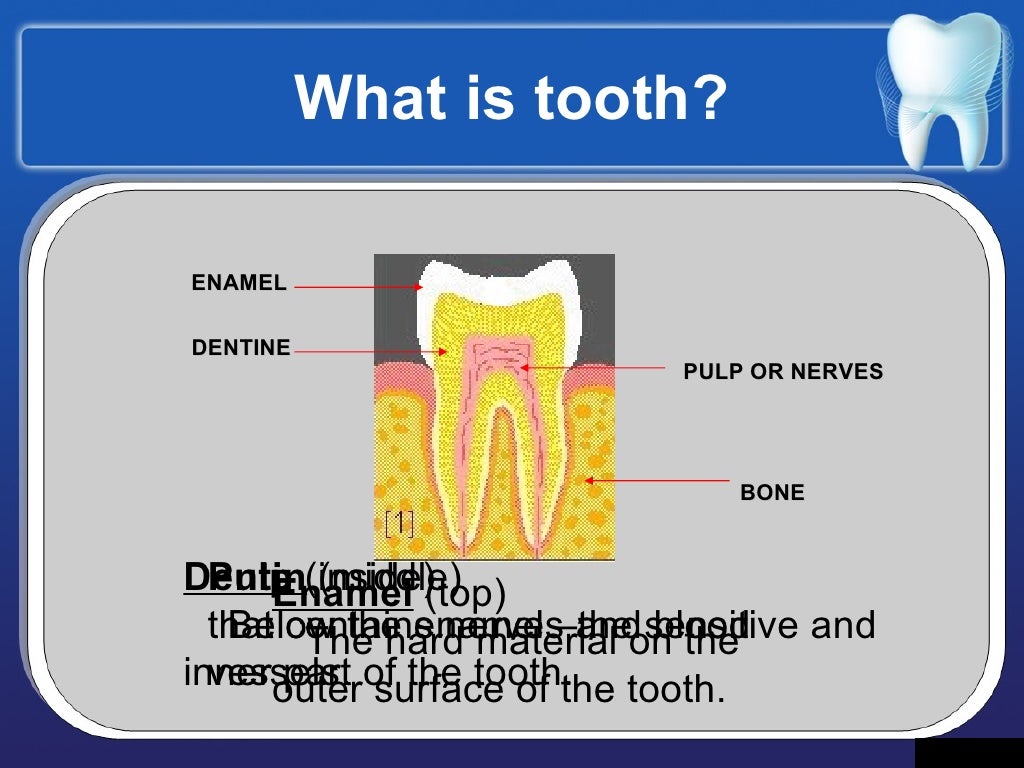 Dental Health Education