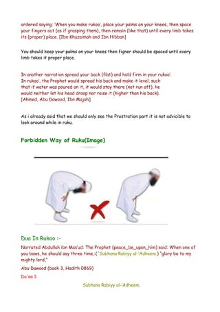 ordered saying: ‘When you make rukoo’, place your palms on your knees, then space
your fingers out (as if grasping them), then remain (like that) until every limb takes
its (proper) place. [Ibn Khuzaimah and Ibn Hibban]
You should keep your palms on your knees then figner should be spaced until every
limb takes it proper place.
In another narration spread your back (flat) and hold firm in your rukoo’.
In rukoo’, the Prophet would spread his back and make it level, such
that if water was poured on it, it would stay there (not run off), he
would neither let his head droop nor raise it (higher than his back).
[Ahmed, Abu Dawood, Ibn Majah]
As i already said that we should only see the Prostration part it is not advicible to
look around while in ruku.

Forbidden Way of Ruku(Image)

Dua In Rukoo :Narrated Abdullah ibn Mas’ud: The Prophet (peace_be_upon_him) said: When one of
you bows, he should say three time,:( ‘Subhana Rabiyy al-’Adheem.) “glory be to my
mighty lord,”
Abu Dawood (book 3, Hadith 0869)
Du'aa 1:
Subhana Rabiyy al-’Adheem.

 