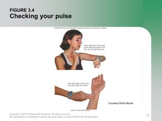 cardiovascular endurance definition cardiovascular endurance definition