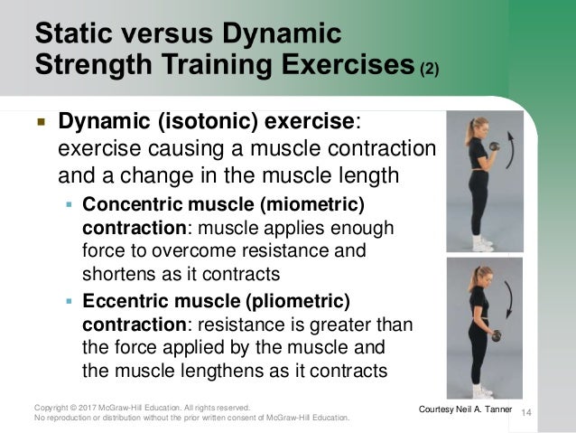 Fw190 Muscular Strength And Endurance