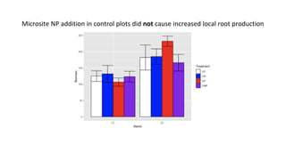 Microsite NP addition in control plots did not cause increased local root production
 