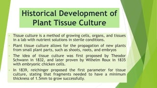 Historical Development of
Plant Tissue Culture
• Tissue culture is a method of growing cells, organs, and tissues
in a lab with nutrient solutions in sterile conditions.
• Plant tissue culture allows for the propagation of new plants
from small plant parts, such as shoots, roots, and embryos
• The idea of tissue culture was first proposed by Theodor
Schwann in 1832, and later proven by Wilhelm Roux in 1835
with embryonic chicken cells.
• In 1839, reichinger proposed the first parameter for tissue
culture, stating that fragments needed to have a minimum
thickness of 1.5mm to grow successfully.
 
