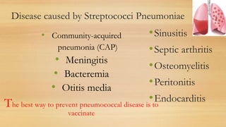 Pneumococcal and Influenza vaccine guideline | PPT