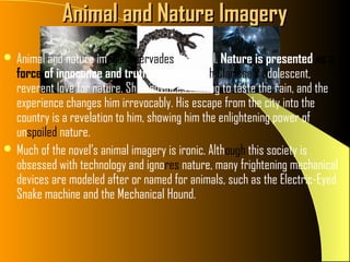 Animal and Nature Imagery
 Animal and nature imagery pervades the novel. Nature is presented as a
  force of innocence and truth, beginning with Clarisse’s adolescent,
  reverent love for nature. She convinces Montag to taste the rain, and the
  experience changes him irrevocably. His escape from the city into the
  country is a revelation to him, showing him the enlightening power of
  unspoiled nature.
 Much of the novel’s animal imagery is ironic. Although this society is
  obsessed with technology and ignores nature, many frightening mechanical
  devices are modeled after or named for animals, such as the Electric-Eyed
  Snake machine and the Mechanical Hound.
 