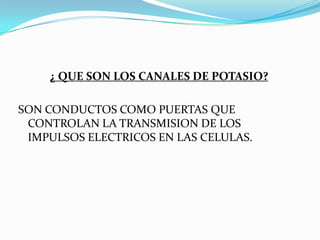 EL VENENO DE LAS ARAÑAS