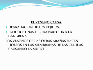 EL VENENO DE LAS ARAÑAS