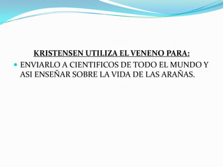 EL VENENO DE LAS ARAÑAS