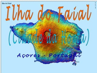 Ilha do Faial (Cidade da Horta) Açores - Portugal 