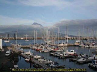A Marina da Cidade da Horta é paragem obrigatória, a todos os veleiros que atravessam as águas do Atlântico Norte.