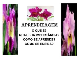 APRENDIZAGEM
O QUE É?
QUAL SUA IMPORTÂNCIA?
COMO SE APRENDE?
COMO SE ENSINA?
 