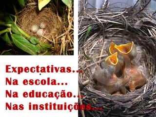 .Expectativas...
Na escola...
Na educação...
Nas instituições...
 