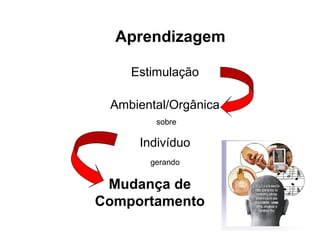 Aprendizagem
Estimulação
Ambiental/Orgânica
Indivíduo
sobre
Mudança de
Comportamento
gerando
 