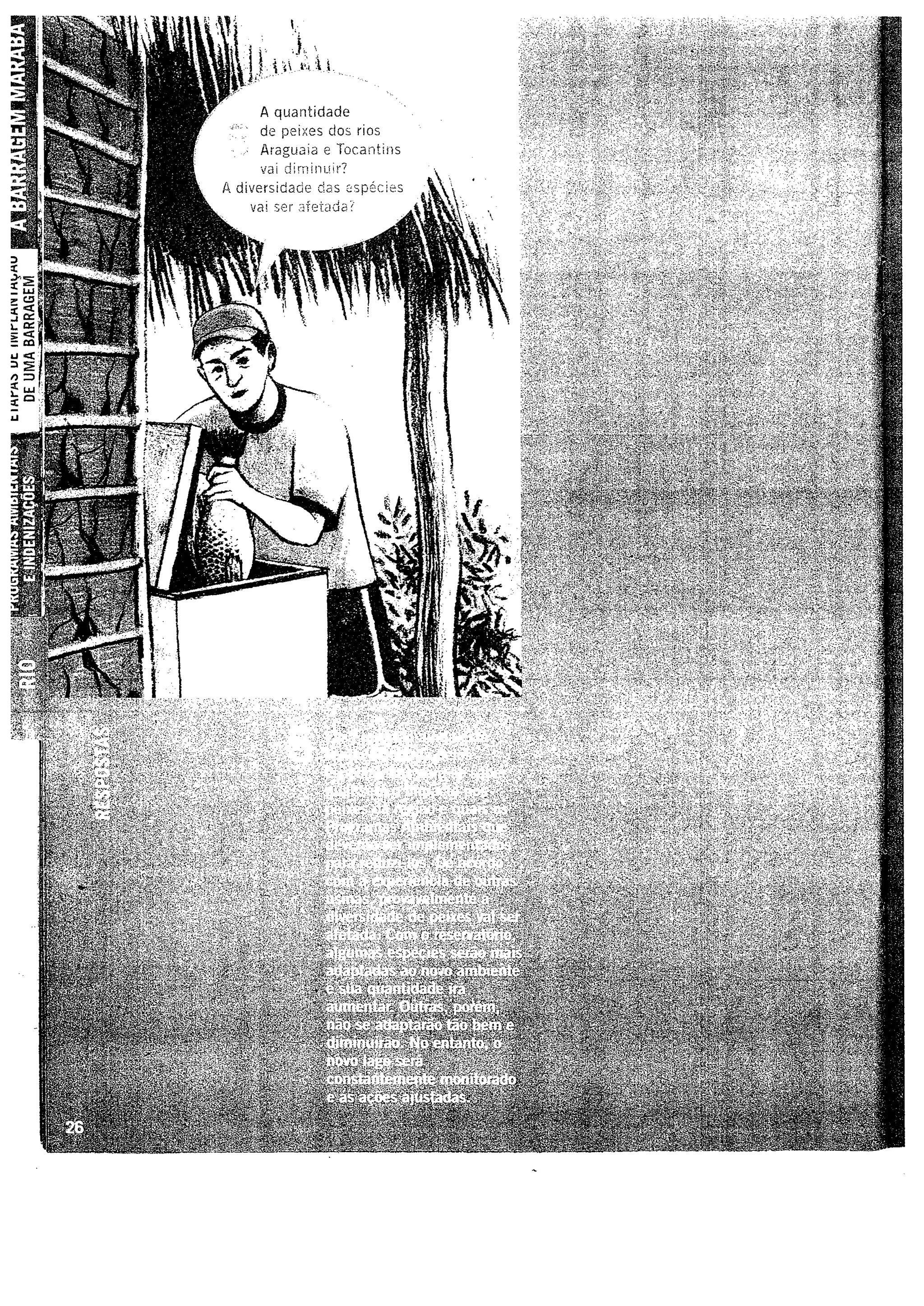 Faidherb, Sandy R. Dissertação- O direito de participação no licenciamento ambiental: uma análise da execução do termo de refência da UHE Marabá