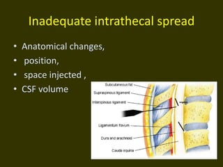 Inadequate intrathecal spread
• Anatomical changes,
• position,
• space injected ,
• CSF volume
 