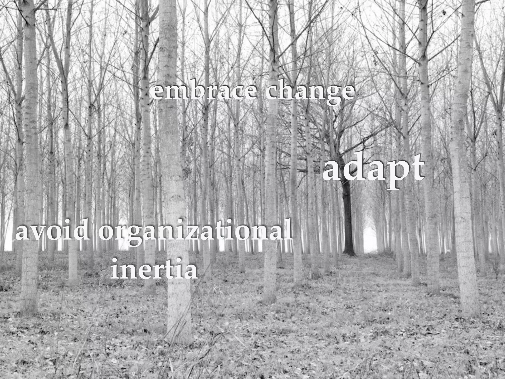 Organization
avoid organizational
inertia
embrace change
adapt
 
