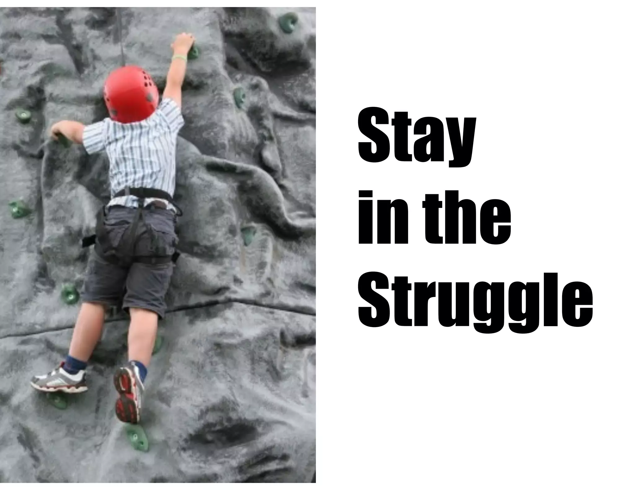 Stay
in the
Struggle

 
