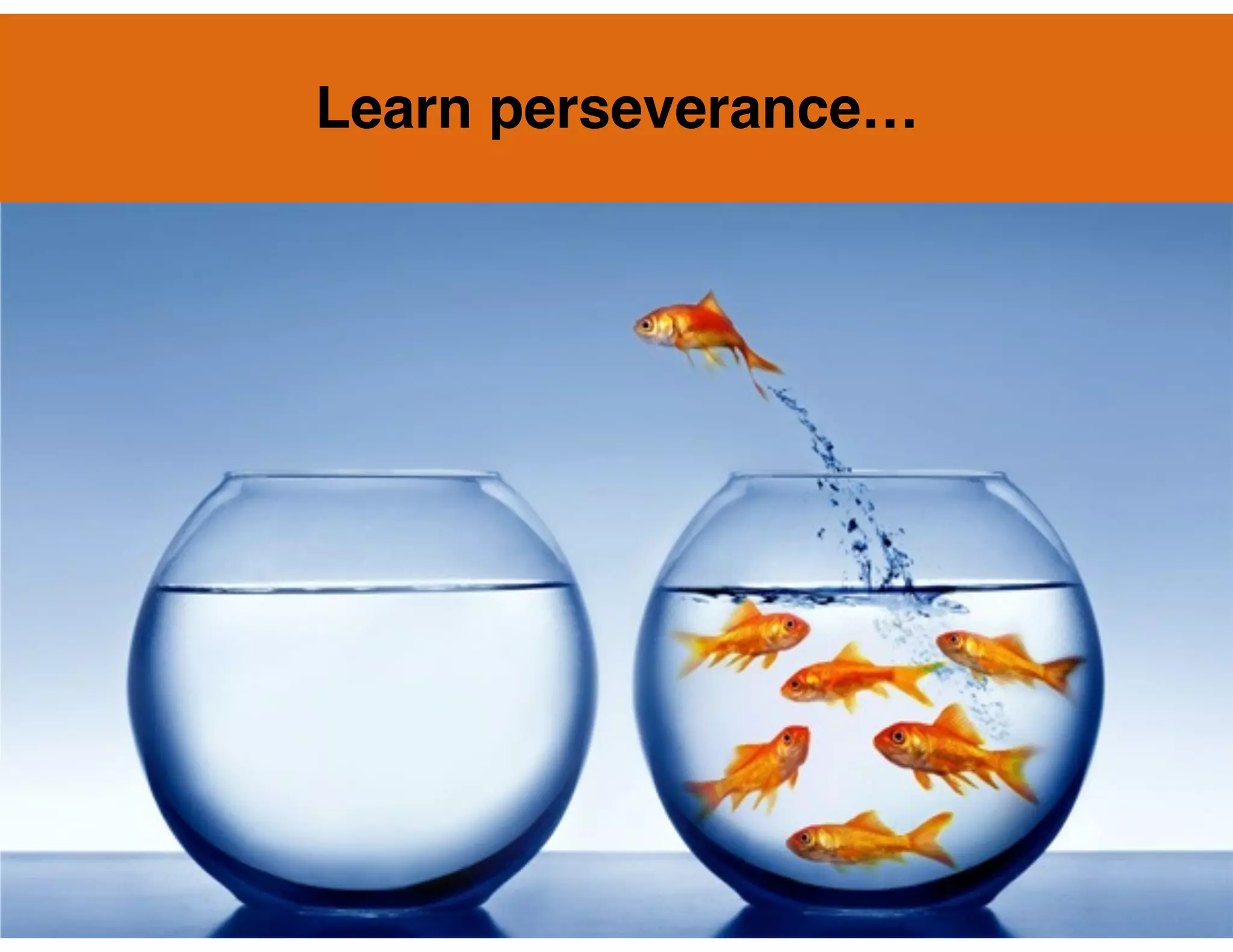 Learn perseverance…

 