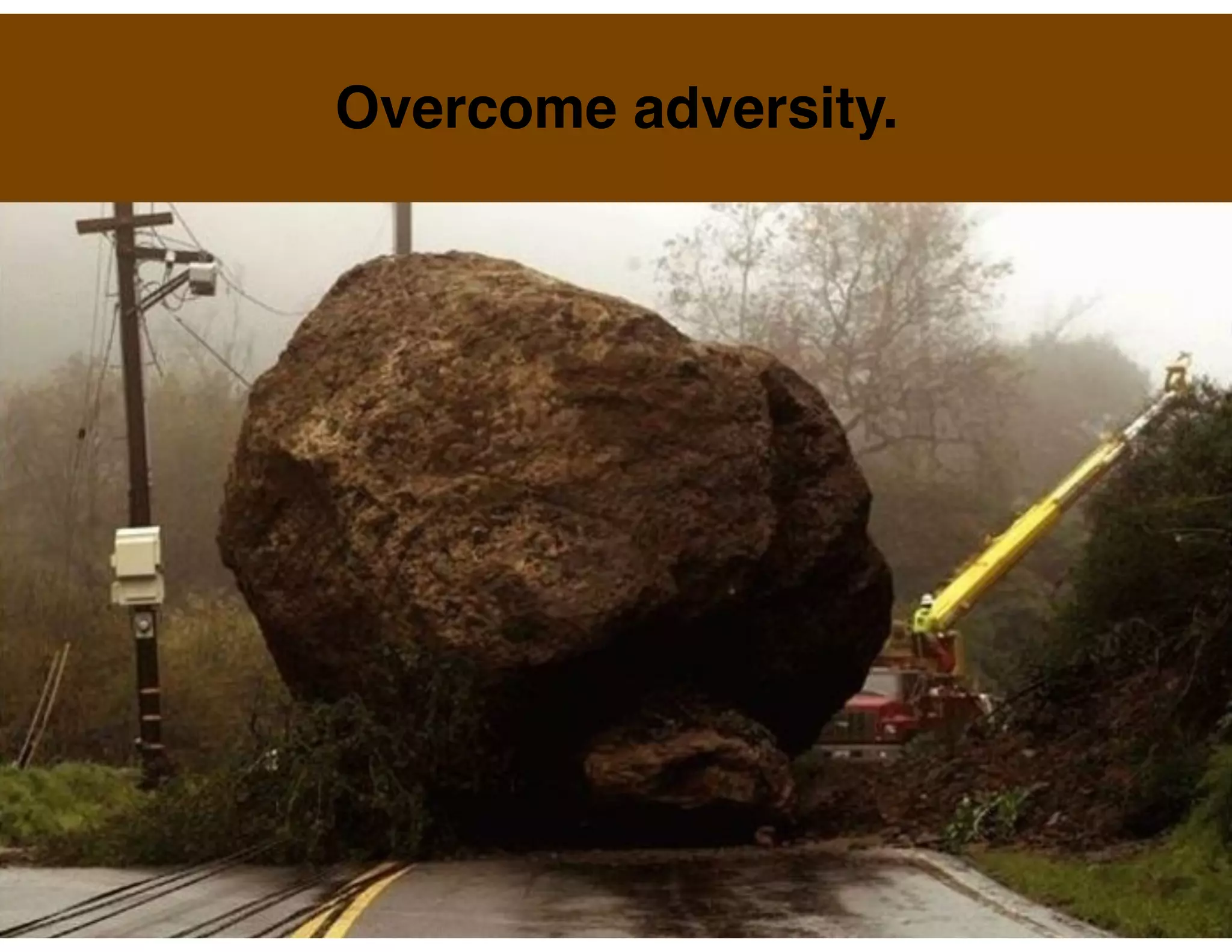 Overcome adversity.

 