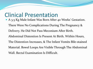 Clinical Presentation
 A 3.5 Kg Male Infant Was Born After 40 Weeks' Gestation.
There Were No Complications During The Pregnancy &
Delivery. He Did Not Pass Meconium After Birth.
Abdominal Distention Is Present At Birth. Within Hours,
The Distention Increases, & The Infant Vomits Bile-stained
Material. Bowel Loops Are Visible Through The Abdominal
Wall. Rectal Examination Is Difficult.
 
