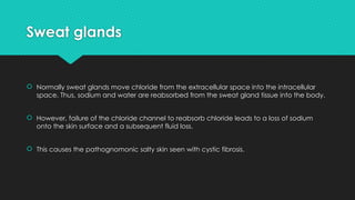 Sweat glands
 Normally sweat glands move chloride from the extracellular space into the intracellular
space. Thus, sodium and water are reabsorbed from the sweat gland tissue into the body.
 However, failure of the chloride channel to reabsorb chloride leads to a loss of sodium
onto the skin surface and a subsequent fluid loss.
 This causes the pathognomonic salty skin seen with cystic fibrosis.
 
