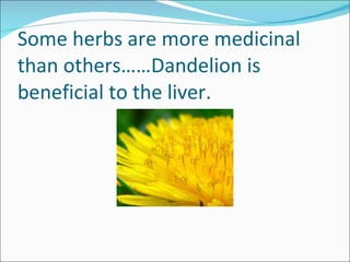 Some herbs are more medicinal than others……Dandelion is beneficial to the liver. 
