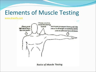 Elements of Muscle Testing www.drwolfe.com 