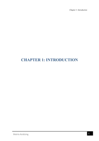 Chapter 1: Introduction
1Matrix Acidizing
CHAPTER 1: INTRODUCTION
 