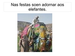 Nas festas soen adornar aos elefantes. 