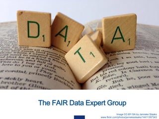 The FAIR Data Expert Group
Image CC-BY-SA by Janneke Staaks
www.flickr.com/photos/jannekestaaks/14411397343
 