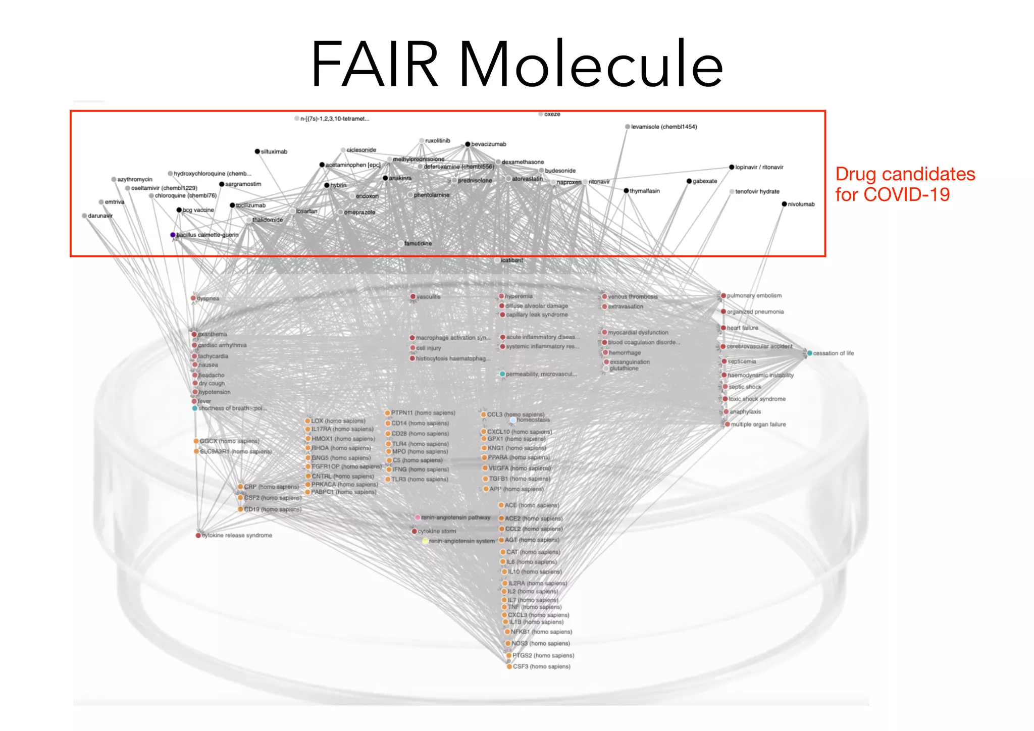 FAIR Molecule
Drug candidates
for COVID-19
 