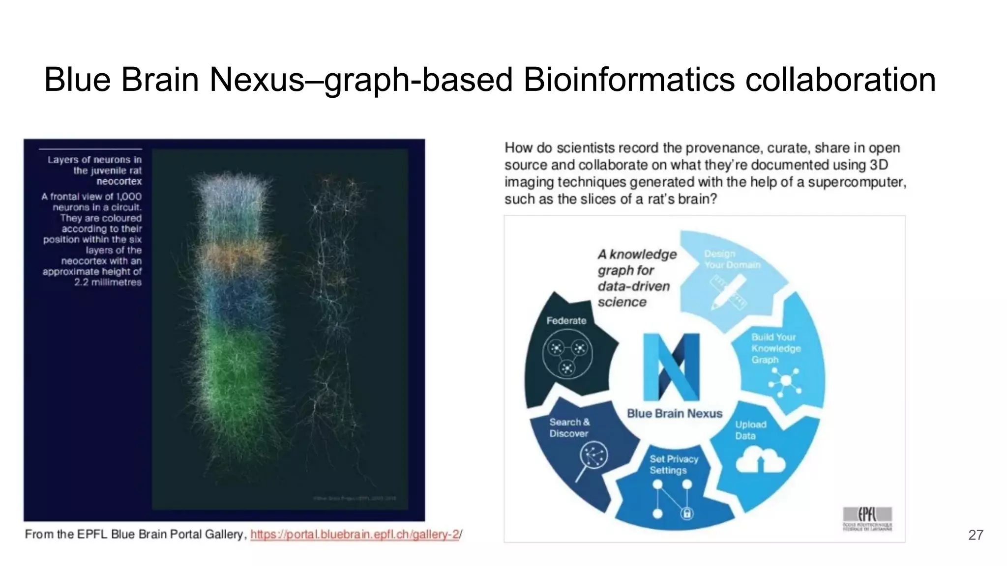 Blue Brain Nexus–graph-based Bioinformatics collaboration
27
 