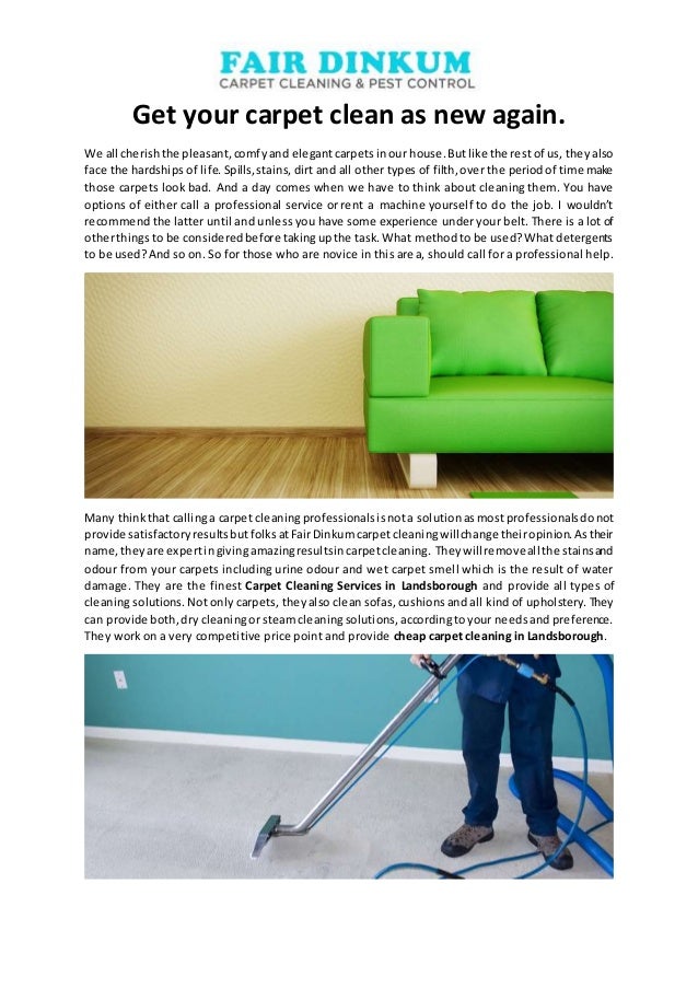 Fair dinkum carpet cleaning and pest control