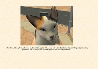 An hour later... I know, I’m nuts, but how could I resist this cat, it could have such cute babies. Darn I am such a sucker for possibly interesting
                              genetics-and cats. So now we have five adults, 2 servos a cat and a baby on the way.
 