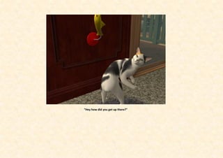 “Hey how did you get up there?”
 