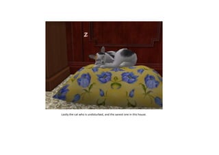 Lastly the cat who is undisturbed, and the sanest one in this house.

 