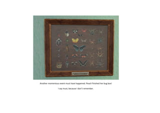 Another momentous event must have happened. Peach finished her bug box!
I say must, because I don’t remember.

 