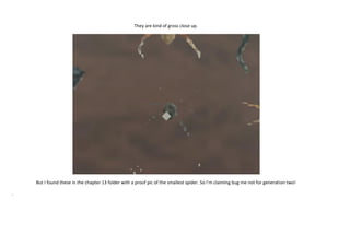 They are kind of gross close up.

But I found these in the chapter 13 folder with a proof pic of the smallest spider. So I’m claiming bug me not for generation two!
.

 