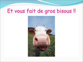 Et vous fait de gros bisous !!