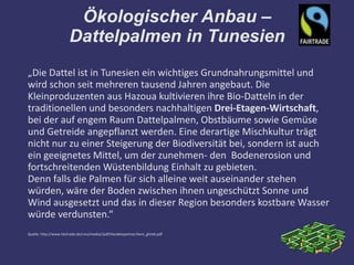 Ökologischer Anbau –
                       Dattelpalmen in Tunesien
„Die Dattel ist in Tunesien ein wichtiges Grundnahrungsmittel und
wird schon seit mehreren tausend Jahren angebaut. Die
Kleinproduzenten aus Hazoua kultivieren ihre Bio-Datteln in der
traditionellen und besonders nachhaltigen Drei-Etagen-Wirtschaft,
bei der auf engem Raum Dattelpalmen, Obstbäume sowie Gemüse
und Getreide angepflanzt werden. Eine derartige Mischkultur trägt
nicht nur zu einer Steigerung der Biodiversität bei, sondern ist auch
ein geeignetes Mittel, um der zunehmen- den Bodenerosion und
fortschreitenden Wüstenbildung Einhalt zu gebieten.
Denn falls die Palmen für sich alleine weit auseinander stehen
würden, wäre der Boden zwischen ihnen ungeschützt Sonne und
Wind ausgesetzt und das in dieser Region besonders kostbare Wasser
würde verdunsten.“
Quelle: http://www.fairtrade.de/cms/media//pdf/Handelspartner/beni_ghreb.pdf
 