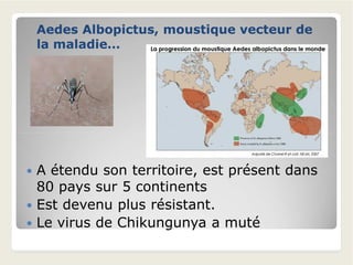 Aedes Albopictus, moustique vecteur deAedes Albopictus, moustique vecteur de
la maladie…la maladie…
 A étendu son territoire, est présent dans
80 pays sur 5 continents
 Est devenu plus résistant.
 Le virus de Chikungunya a muté
 