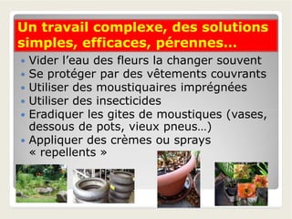 Un travail complexe, des solutionsUn travail complexe, des solutions
simples, efficaces, pérennes…simples, efficaces, pérennes…
 Vider l’eau des fleurs la changer souvent
 Se protéger par des vêtements couvrants
 Utiliser des moustiquaires imprégnées
 Utiliser des insecticides
Eradiquer les gites de moustiques (vases, Eradiquer les gites de moustiques (vases,
dessous de pots, vieux pneus…)
 Appliquer des crèmes ou sprays
« repellents »
 
