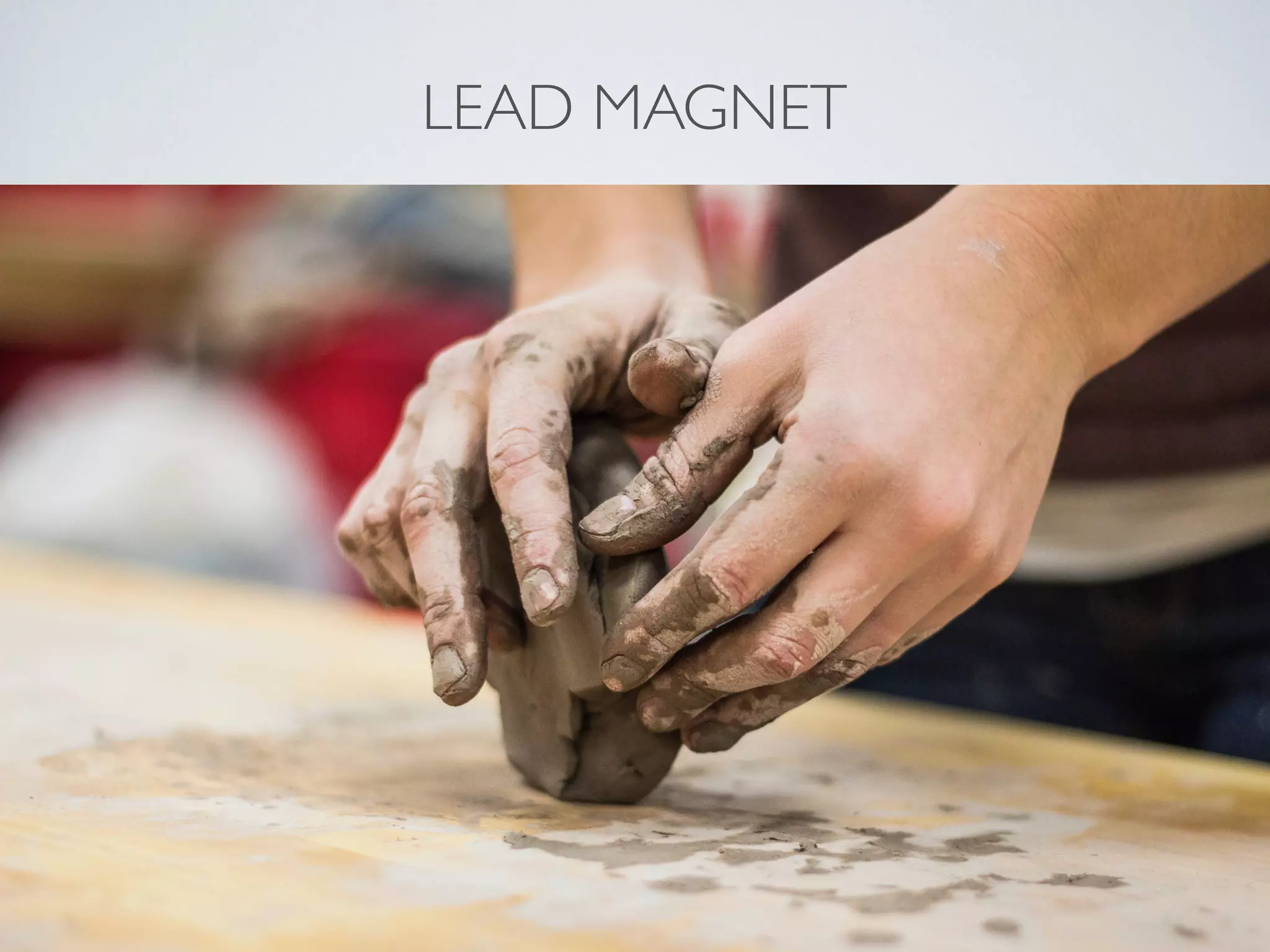 LEAD MAGNET