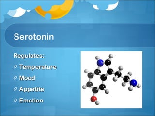 Serotonin Regulates:  Temperature Mood Appetite Emotion 