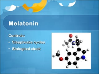 Melatonin Controls: Sleep/wake cycles Biological clock  