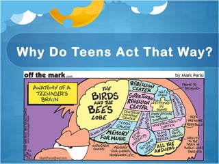 Why Do Teens Act That Way? 