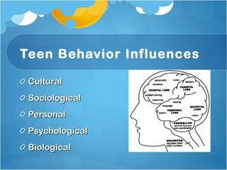 Teen Behavior Influences  Cultural Sociological  Personal Psychological Biological 